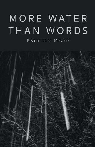 Cover image for More Water Than Words