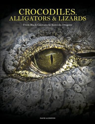 Cover image for Crocodiles, Alligators & Lizards