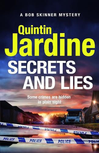 Cover image for Secrets and Lies