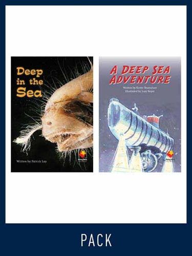 Cover image for Flying Start Guided Reading Level 17, Pack 5: Paired student books (6x6) and lesson plan (1)