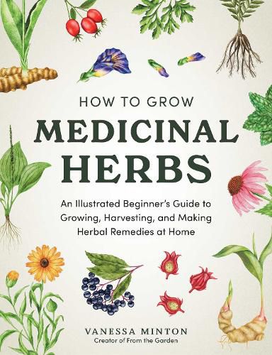Cover image for How to Grow Medicinal Herbs
