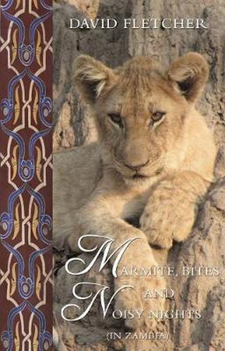 Cover image for Marmite, Bites and Noisy Nights (in Zambia): Brian's World