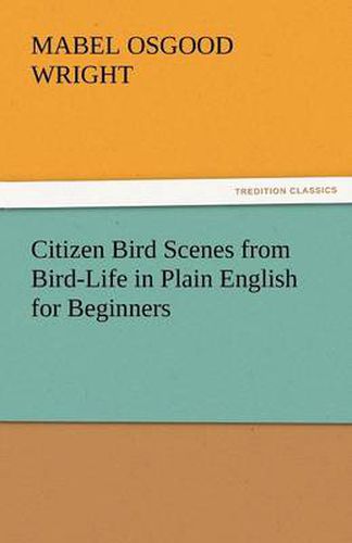 Cover image for Citizen Bird Scenes from Bird-Life in Plain English for Beginners