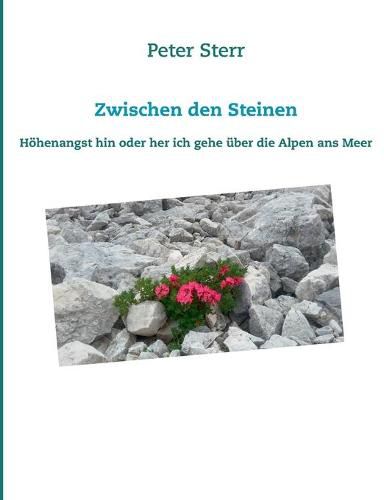 Cover image for Zwischen den Steinen: Hoehenangst hin oder her ich gehe uber die Alpen ans Meer