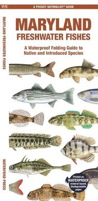 Cover image for Maryland Freshwater Fishes