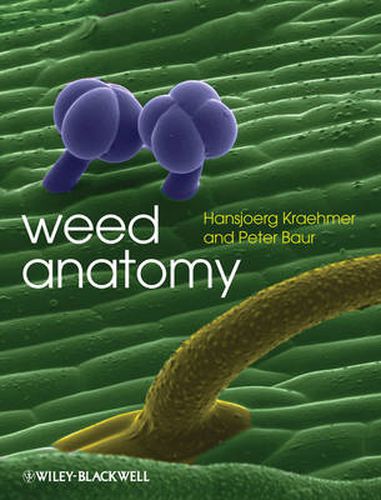 Cover image for Weed Anatomy