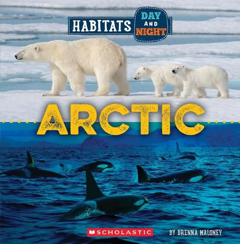 Arctic (Wild World: Habitats Day and Night)