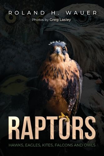 Cover image for Raptors