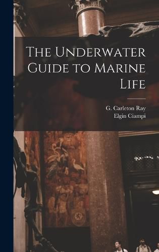 Cover image for The Underwater Guide to Marine Life