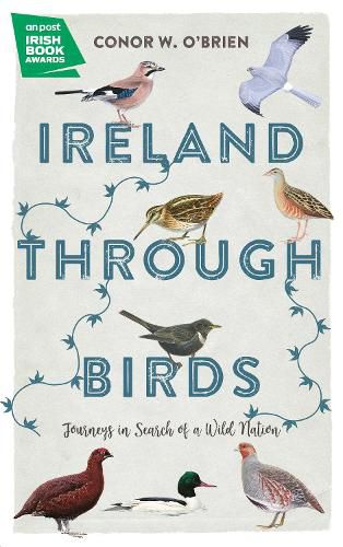 Cover image for Ireland Through Birds: Journeys in Search of a Wild Nation