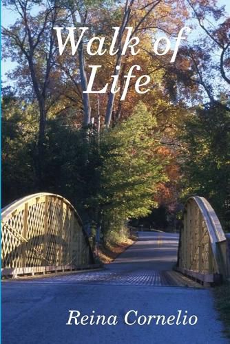 Cover image for Walk of Life