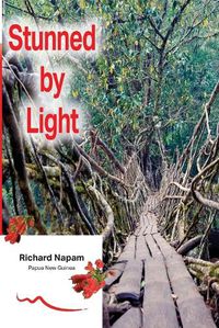 Cover image for Stunned by Light