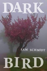 Cover image for Dark Bird