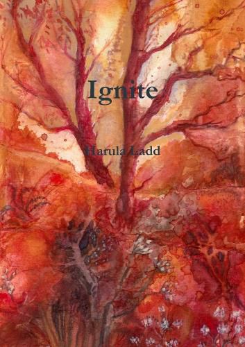 Cover image for Ignite