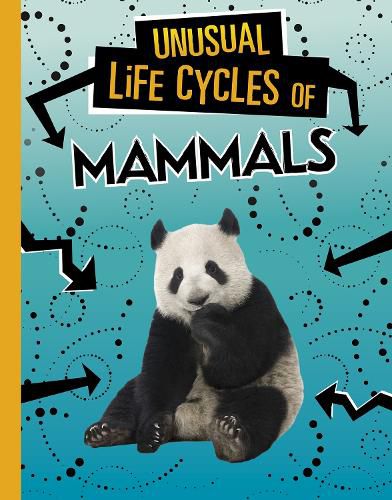 Cover image for Unusual Life Cycles of Mammals