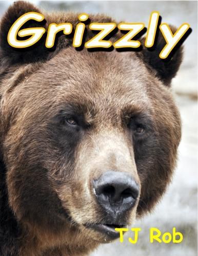 Grizzly: (Age 6 and Above)