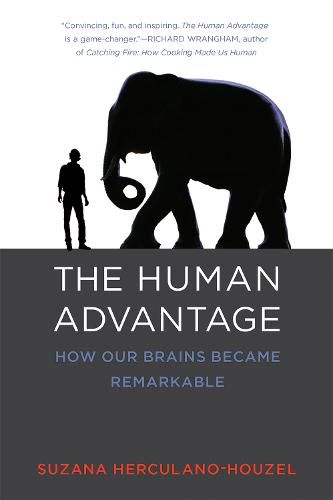 The Human Advantage: How Our Brains Became Remarkable