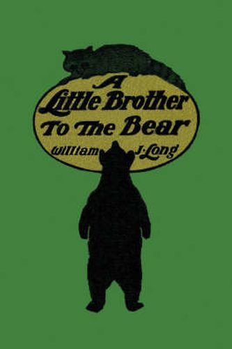 A Little Brother to the Bear