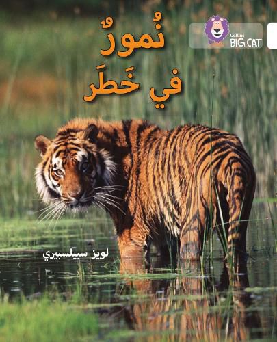 Cover image for Tigers in Danger: Level 10