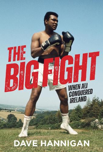 Cover image for The Big Fight