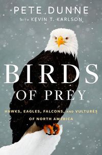 Cover image for Birds Of Prey