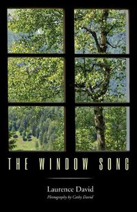 Cover image for The Window Song