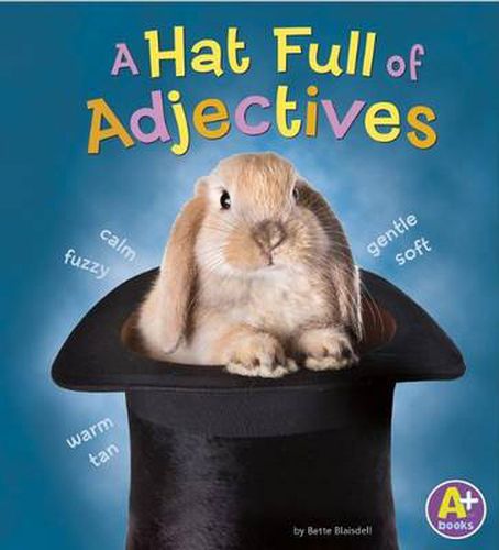 Cover image for A Hat Full of Adjectives