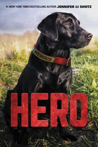 Cover image for Hero