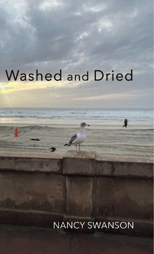 Cover image for Washed and Dried