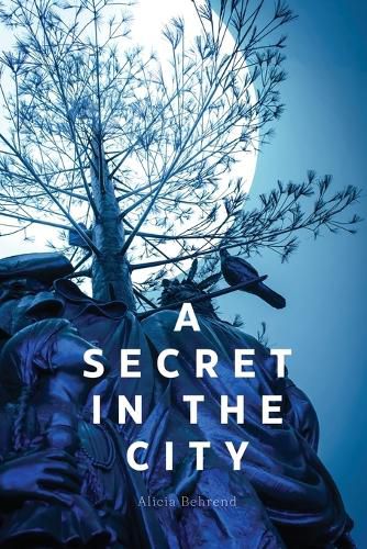 Cover image for A secret in the city