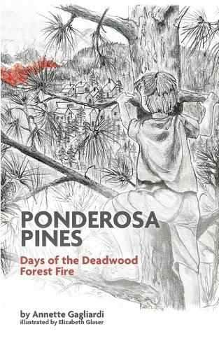 Cover image for Ponderosa Pines