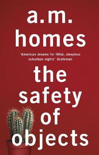 Cover image for The Safety Of Objects