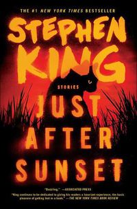 Cover image for Just After Sunset: Stories