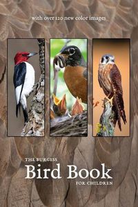 Cover image for The Burgess Bird Book with new color images