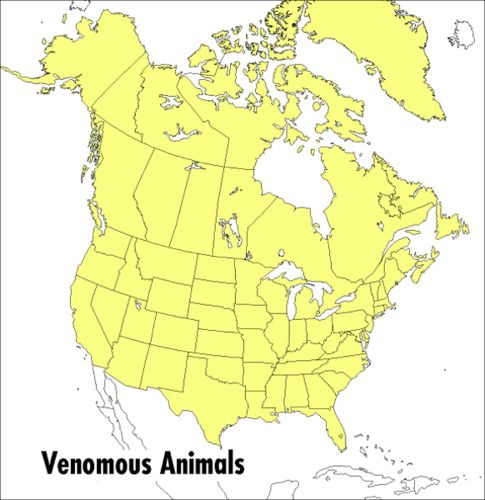 Cover image for Venemous Animals