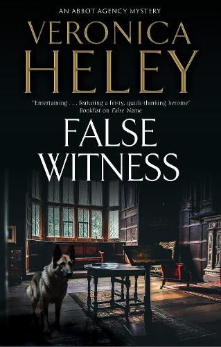 Cover image for False Witness