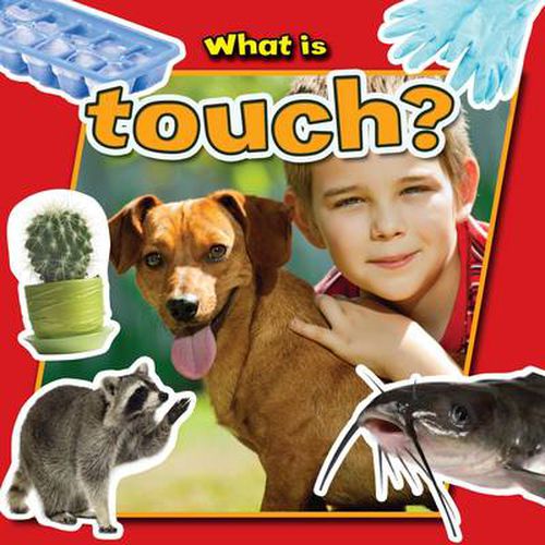 Cover image for What is Touch?