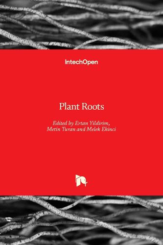 Cover image for Plant Roots