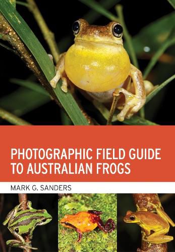 Cover image for Photographic Field Guide to Australian Frogs