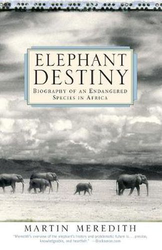 Cover image for Elephant Destiny