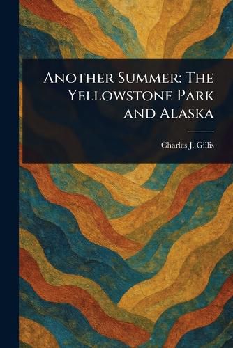 Cover image for Another Summer