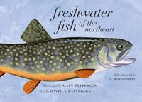 Cover image for Freshwater Fish of the Northeast