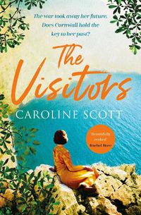 Cover image for The Visitors