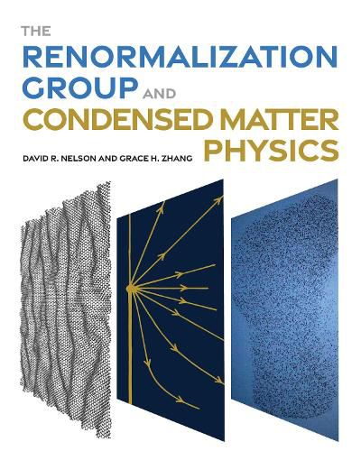 Cover image for The Renormalization Group and Condensed Matter Physics