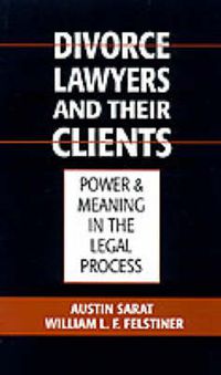 Cover image for Divorce Lawyers and Their Clients: Power and Meaning in the Legal Process