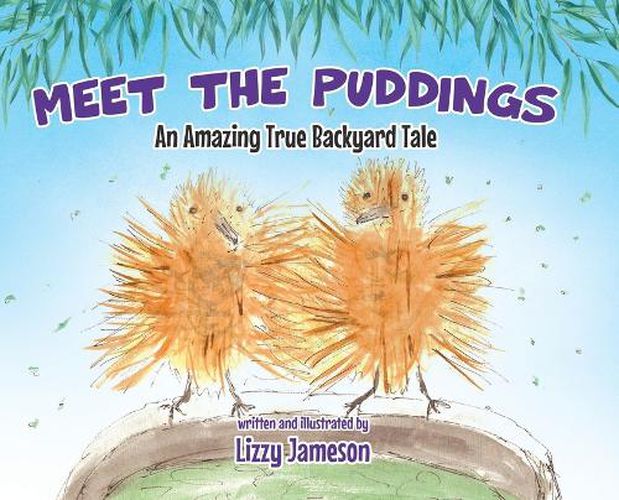 Cover image for Meet the Puddings