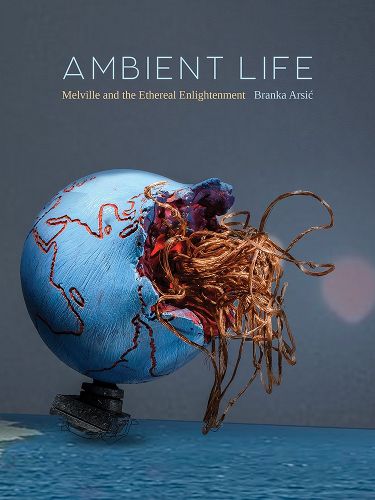 Cover image for Ambient Life Volume 80