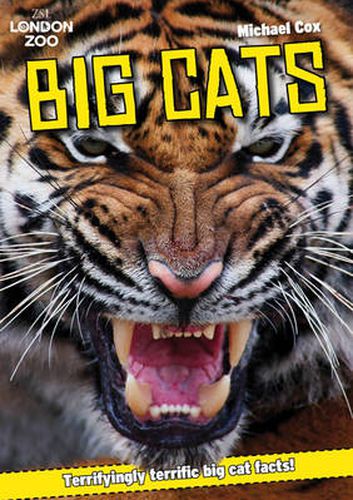 Cover image for ZSL Big Cats