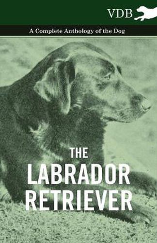 Cover image for The Labrador Retriever - A Complete Anthology of the Dog