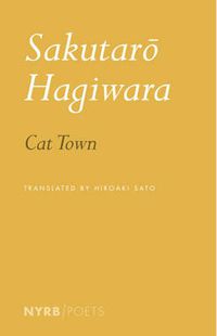 Cover image for Cat Town